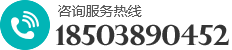 0391-3299600